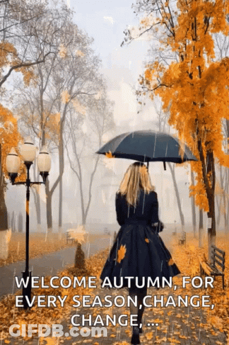 Woman Walking In Rain With Umbrella And Falling Leaves GIF