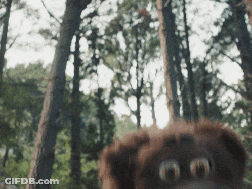 Woman Walking Through Woods With Gun In Pocket GIF