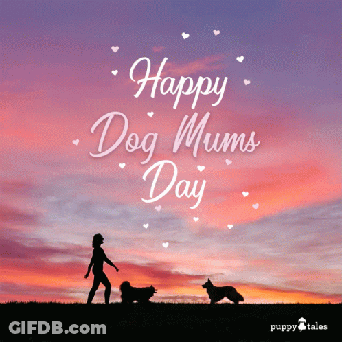Woman Walking Two Dogs Happy Dog Mums Day GIF