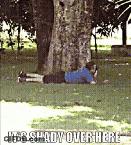 Woman Wearing Glasses Saying It Is In Yellow GIF