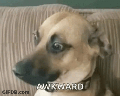 Woman Wearing Glasses Smiling GIF