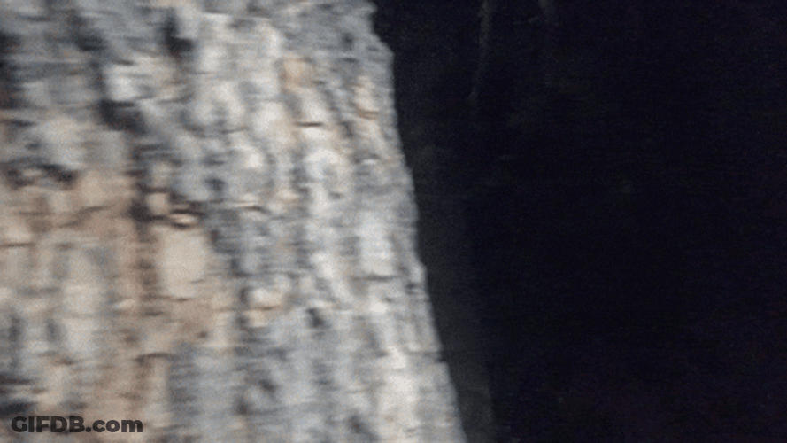 Woman Wearing Tin Hat And Mask Peeping GIF