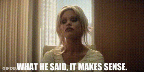Woman What He Said It Makes Sense GIF