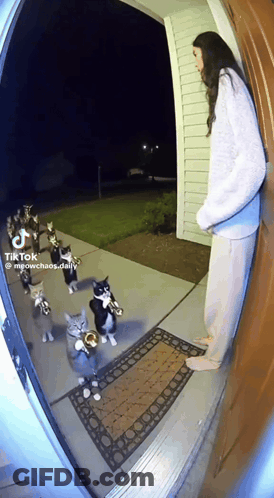 Woman With Cats Playing Trumpets GIF