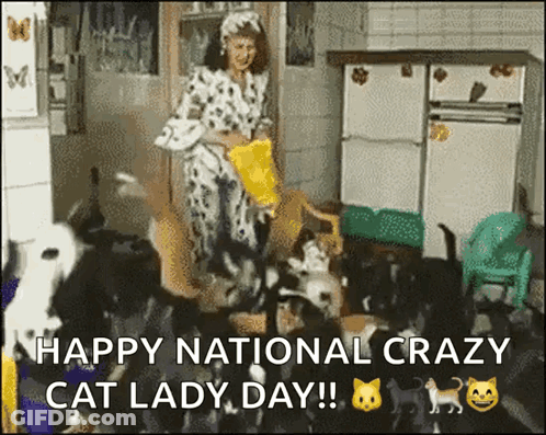 Woman With Cats Says Happy National Crazy Cat Lady Day GIF