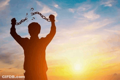 Woman With Curly Hair Taking Selfie GIF