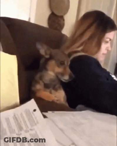 Woman With Dog On Shoulder GIF