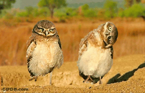 Woman With Eyes Closed GIF