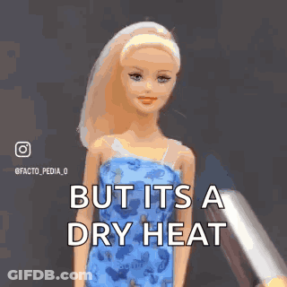Woman With Fire On Head Saying But It's A Dry Heat GIF