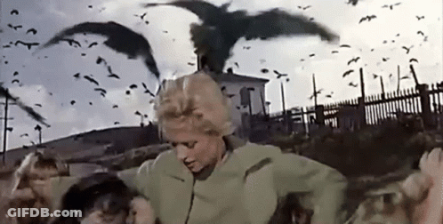 Woman With Flock Of Birds In Field GIF