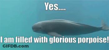 Woman With Flower Crown Saying Oh Look Another Glorious Morning GIF