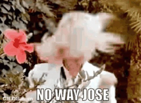 Woman With Flower In Mouth No Way Jose GIF