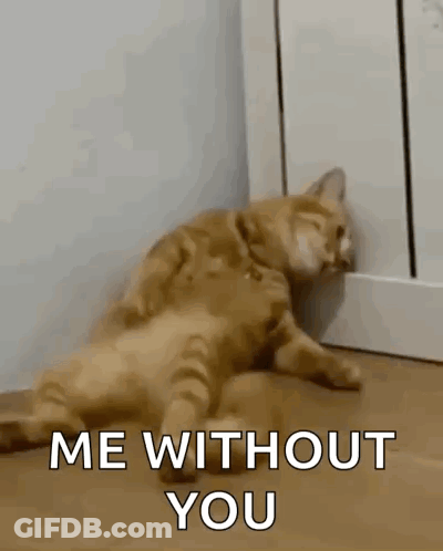 Woman With Hands On Head Saying Im Done GIF