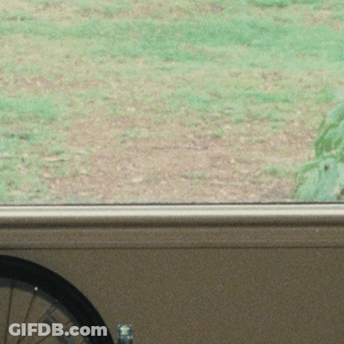 Woman With Hat And Long Hair Looking Out Window GIF