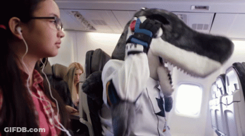 Woman With Headphones And Stuffed Shark On Airplane GIF