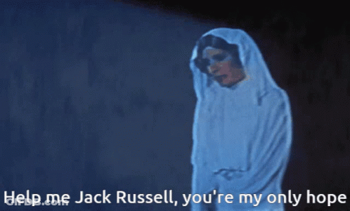 Woman With Help Me Jack Russell You're My Only Hope GIF