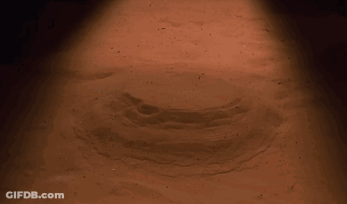 Woman With Large Breasts Looking At Camera GIF