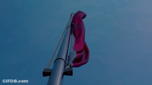 Woman With Long Black Hair Blowing Kiss Red Flag GIF