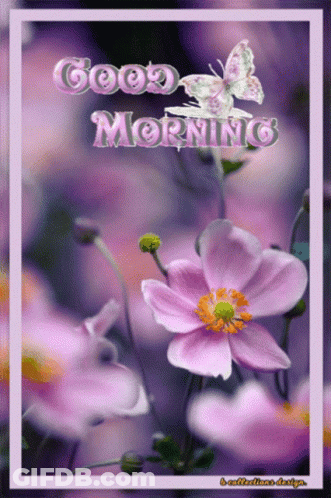 Woman With Purple Background Weekend Vibes GIF