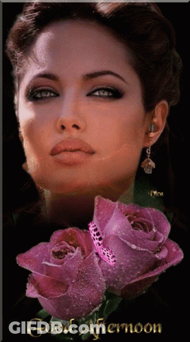 Woman With Purple Roses Good Afternoon GIF