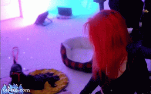 Woman With Red Hair Standing In Front Of Cat Bed GIF