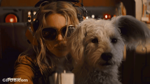 Woman With Sunglasses Headphones Holding White Dog #Supergirl GIF