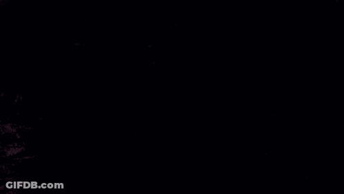 Woman With Sword And Us Shirt GIF