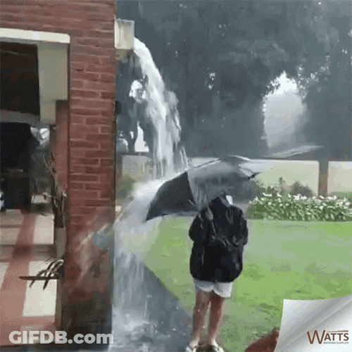 Woman With Umbrella Standing In Funny Rain GIF