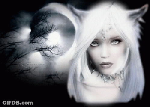 Woman With White Hair And Wolf Ear GIF