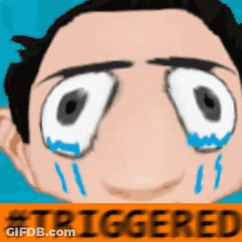 Woman With Yellow Sign Saying Triggered GIF