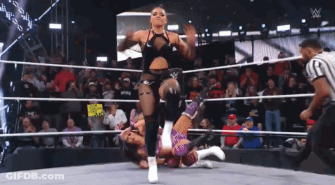 Woman Wrestling Ring Referee Sign W GIF