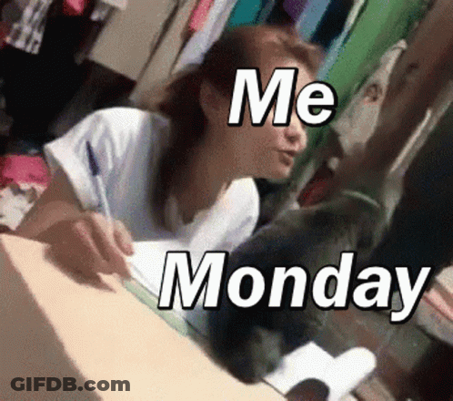 Woman Writing As Cat Says Me Monday GIF