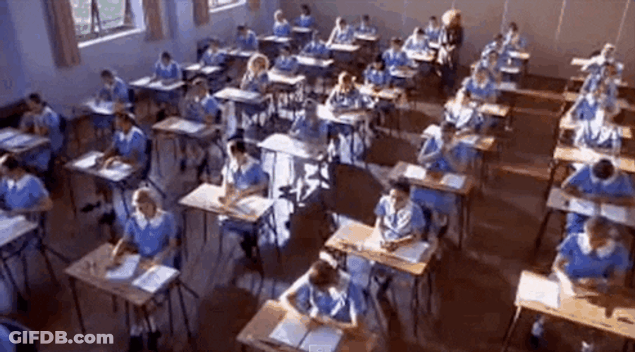 Women During Bar Exam GIF
