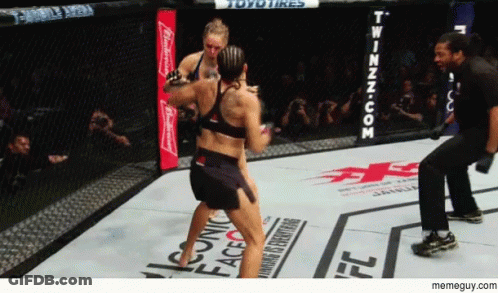 Women Fighting In Cage GIF