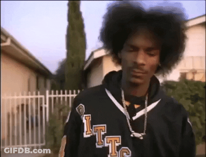 Women Fighting Over Snoop Dogg GIF