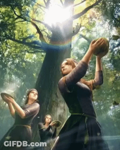 Women Holding Plates And Ball In Forest GIF