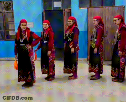 Women In Traditional Clothes Standing In A Row GIF