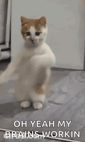 Women Laughing At Table GIF