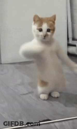 Women Posing With Ole Words GIF