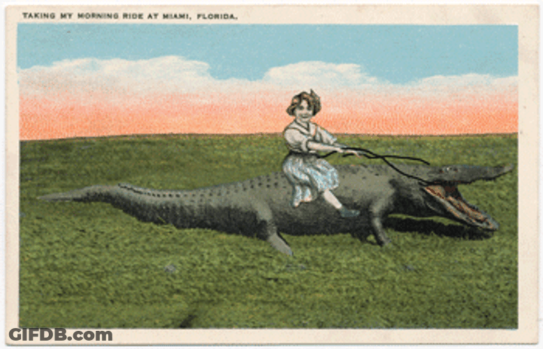 Women Riding Alligator Postcard GIF