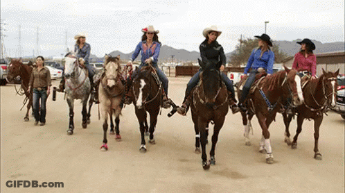 Women Riding Horses On Dirt Road GIF