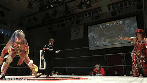 Women Wrestling In Ring GIF