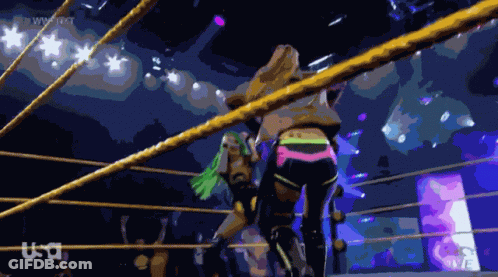Women Wrestling In Ring With USA Logo GIF