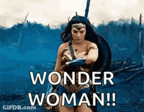 Wonder Woman Holding Shield And Sword In Field GIF