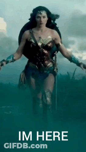 Wonder Woman Holding Shield And Sword GIF
