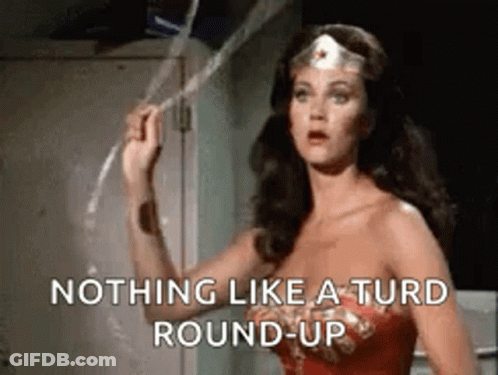 Wonder Woman Is Holding A Rope And Saying `` Nothing Like A Turd Round Up '' . GIF