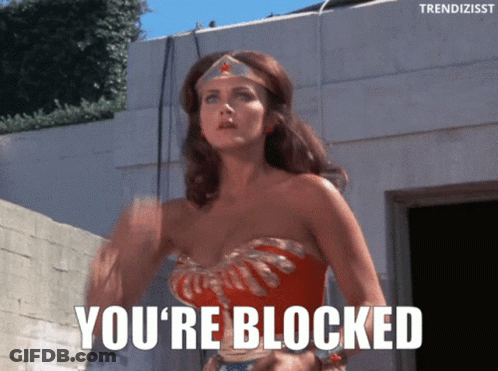 Wonder Woman Says You're Blocked GIF