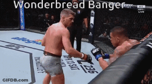 Wonderbread Banger Boxing Fight GIF