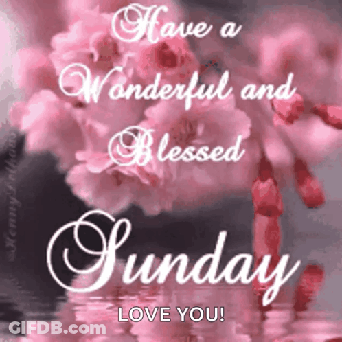 Wonderful And Blessed Sunday Love You GIF