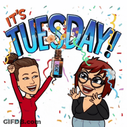 Wonderful Tuesday Celebration Confetti Cheers GIF